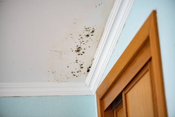 Best Mold Testing  in Oregon, WI