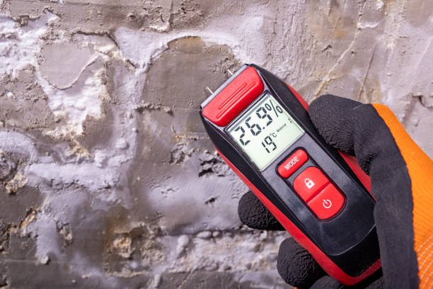 Best Mold Remediation Experts  in Oregon, WI
