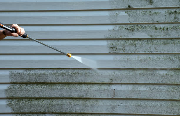 Best Mold Damage Repair  in Oregon, WI