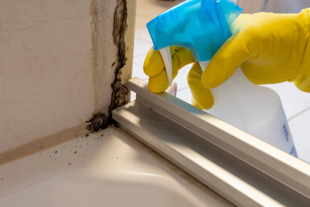 Best Local Mold Removal Service  in Oregon, WI
