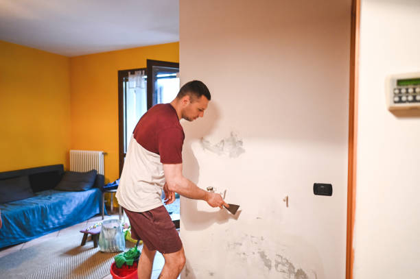 Mold Removal and Inspection in Oregon, WI