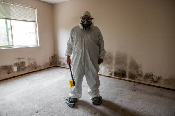 Best Mold Cleaning Services  in Oregon, WI